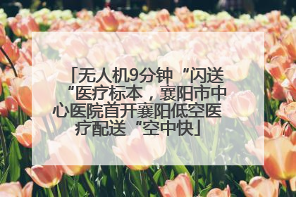 无人机9分钟“闪送“医疗标本，襄阳市中心医院首开襄阳低空医疗配送“空中快