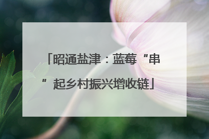 昭通盐津：蓝莓“串”起乡村振兴增收链