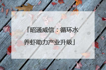 昭通威信：循环水养虾助力产业升级