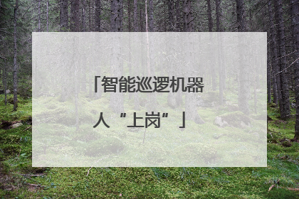 智能巡逻机器人“上岗”