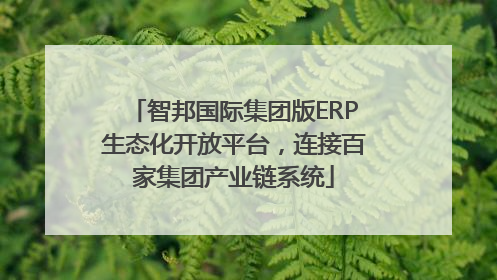 智邦国际集团版ERP生态化开放平台，连接百家集团产业链系统