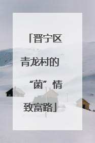 晋宁区青龙村的“菌”情致富路