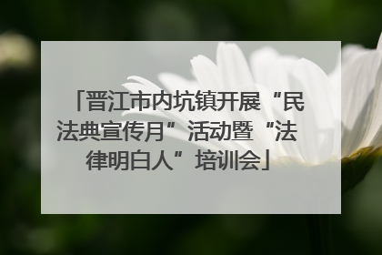 晋江市内坑镇开展“民法典宣传月”活动暨“法律明白人”培训会