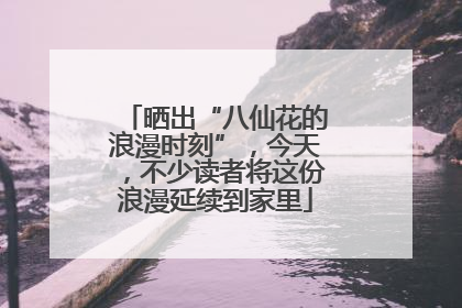 晒出“八仙花的浪漫时刻”，今天，不少读者将这份浪漫延续到家里