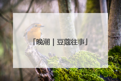 晚潮｜豆蔻往事