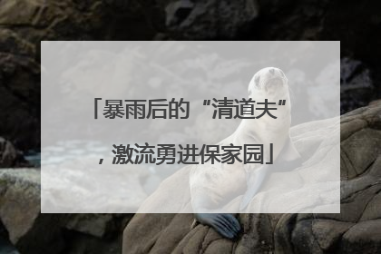 暴雨后的“清道夫”，激流勇进保家园