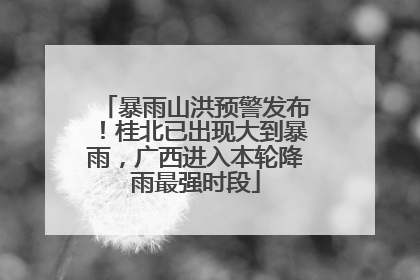 暴雨山洪预警发布！桂北已出现大到暴雨，广西进入本轮降雨最强时段