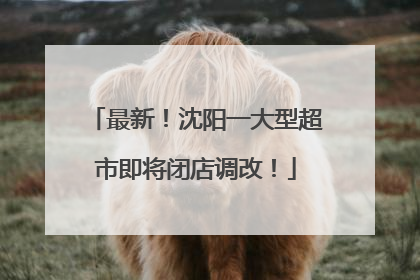 最新！沈阳一大型超市即将闭店调改！