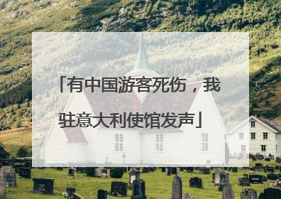 有中国游客死伤，我驻意大利使馆发声