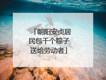 朝阳安贞居民包千个粽子送给劳动者