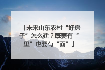 未来山东农村“好房子”怎么建？既要有“里”也要有“面”