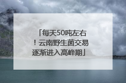 每天50吨左右！云南野生菌交易逐渐进入高峰期