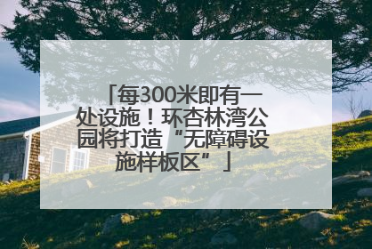 每300米即有一处设施！环杏林湾公园将打造“无障碍设施样板区”