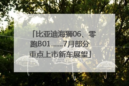 比亚迪海狮06、零跑B01……7月部分重点上市新车展望