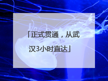 正式贯通，从武汉3小时直达