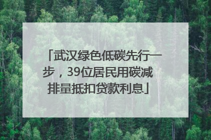 武汉绿色低碳先行一步，39位居民用碳减排量抵扣贷款利息