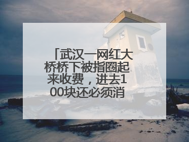 武汉一网红大桥桥下被指圈起来收费，进去100块还必须消费？当地回应