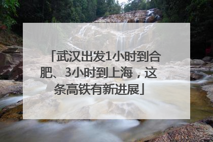 武汉出发1小时到合肥、3小时到上海，这条高铁有新进展