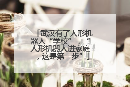 武汉有了人形机器人“学校”，“人形机器人进家庭，这是第一步”