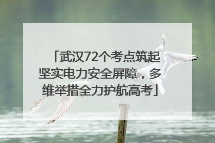 武汉72个考点筑起坚实电力安全屏障，多维举措全力护航高考