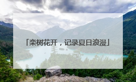 栾树花开，记录夏日浪漫