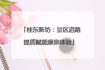 桂东新坊：景区道路提质赋能康旅体验