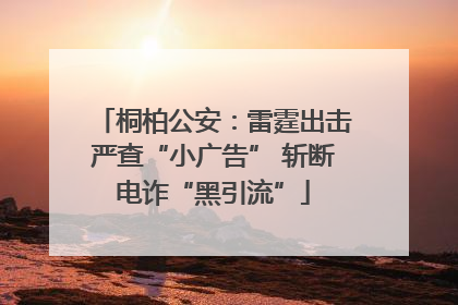 桐柏公安：雷霆出击严查“小广告” 斩断电诈“黑引流”