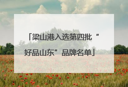 梁山港入选第四批“好品山东”品牌名单