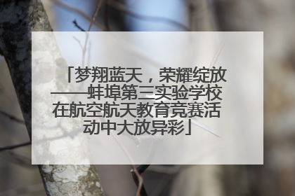 梦翔蓝天，荣耀绽放——蚌埠第三实验学校在航空航天教育竞赛活动中大放异彩