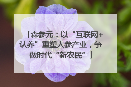 森参元：以“互联网+认养”重塑人参产业，争做时代“新农民”