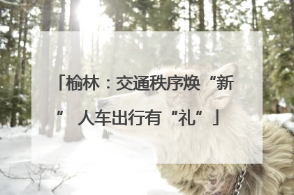 榆林：交通秩序焕“新” 人车出行有“礼”