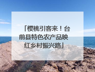 樱桃引客来！台前县特色农产品映红乡村振兴路