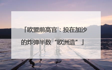 欧盟前高官：投在加沙的炸弹半数“欧洲造”