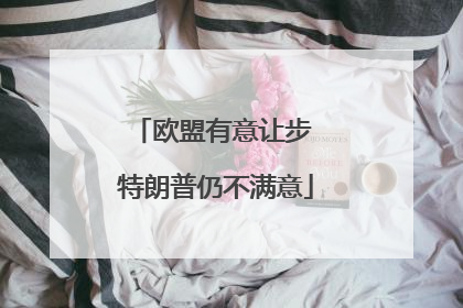 欧盟有意让步 特朗普仍不满意