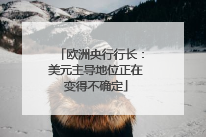 欧洲央行行长：美元主导地位正在变得不确定