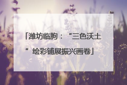 潍坊临朐：“三色沃土”绘彩铺展振兴画卷