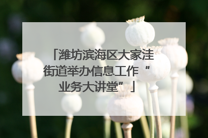 潍坊滨海区大家洼街道举办信息工作“业务大讲堂”