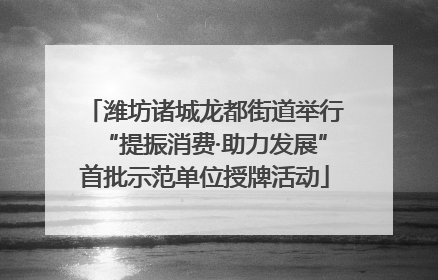 潍坊诸城龙都街道举行“提振消费·助力发展”首批示范单位授牌活动