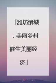 潍坊诸城：美丽乡村催生美丽经济