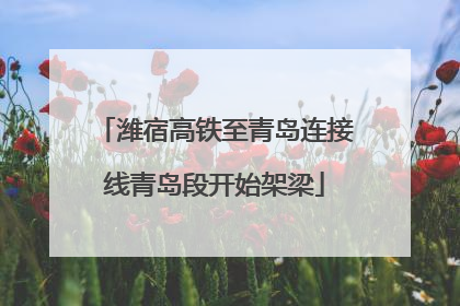 潍宿高铁至青岛连接线青岛段开始架梁