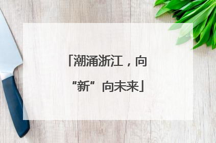 潮涌浙江，向“新”向未来