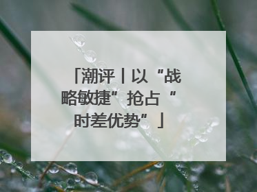 潮评丨以“战略敏捷”抢占“时差优势”