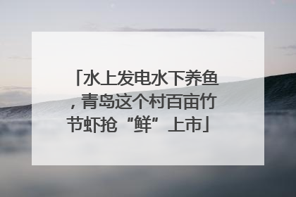 水上发电水下养鱼，青岛这个村百亩竹节虾抢“鲜”上市