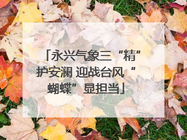 永兴气象三“精”护安澜 迎战台风“蝴蝶”显担当