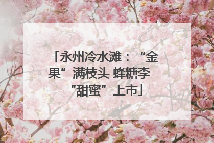 永州冷水滩：“金果”满枝头 蜂糖李“甜蜜”上市