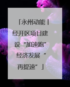 永州动能丨经开区项目建设“加速跑” 经济发展“再提速”