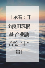 永春：千亩良田筑根基 产业融合绘“丰”景