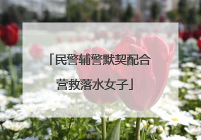 民警辅警默契配合 营救落水女子