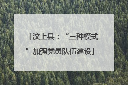 汶上县：“三种模式”加强党员队伍建设