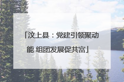 汶上县：党建引领聚动能 组团发展促共富